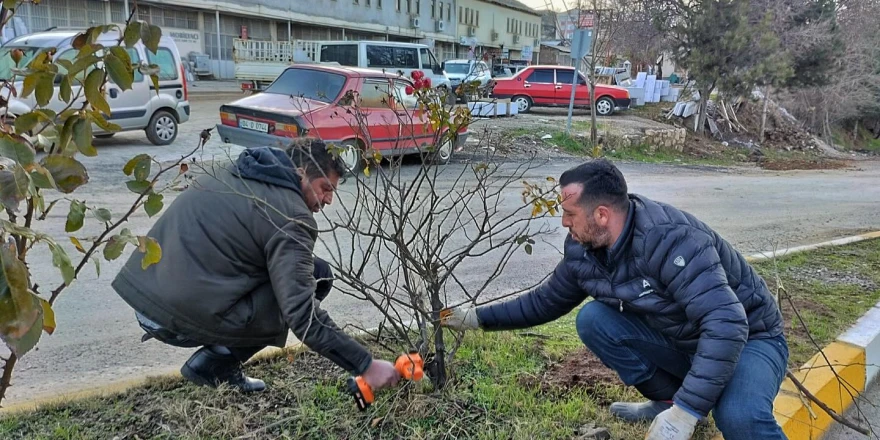 Arapgir Belediyesi Tarafından Orta Refüj Ve Kavşaklarda Peyzaj Ve Temizlik Çalışmaları Devam Ediyor