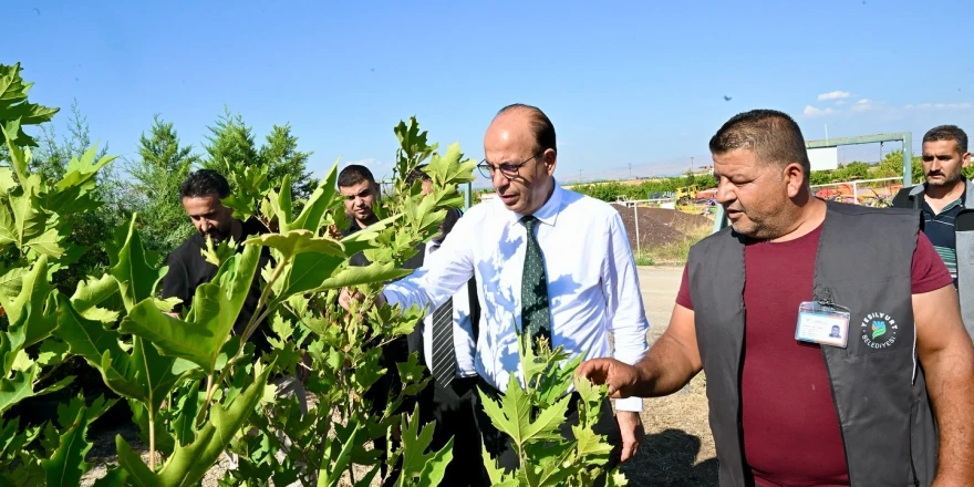 BAŞKAN GEÇİT, YEŞİLYURT BELEDİYESİ FİDANLIK ALANINI İNCELEDİ