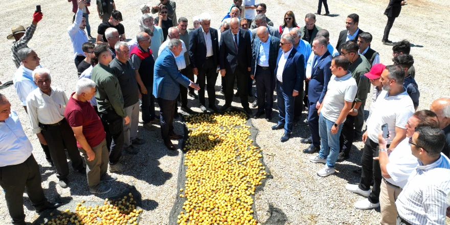 ‘Kayısı Hasat Bayramı’ Programına Katılan Başkan Sami Er